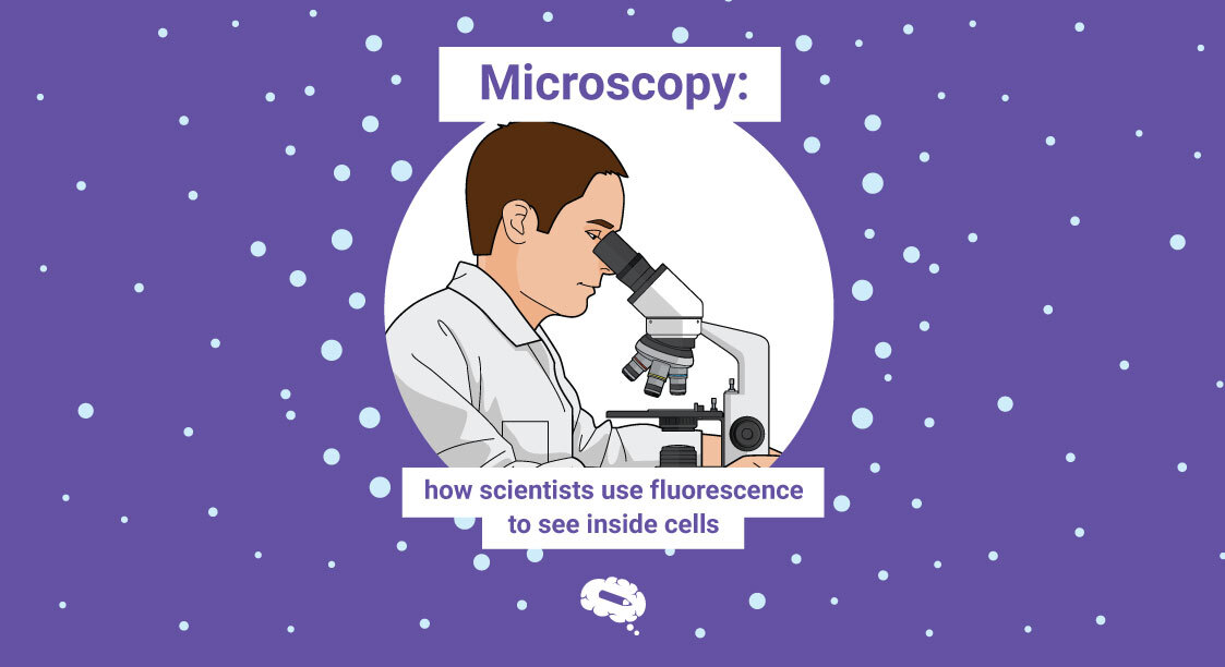 microscopy